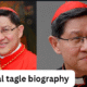 cardinal tagle biography