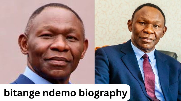bitange ndemo biography